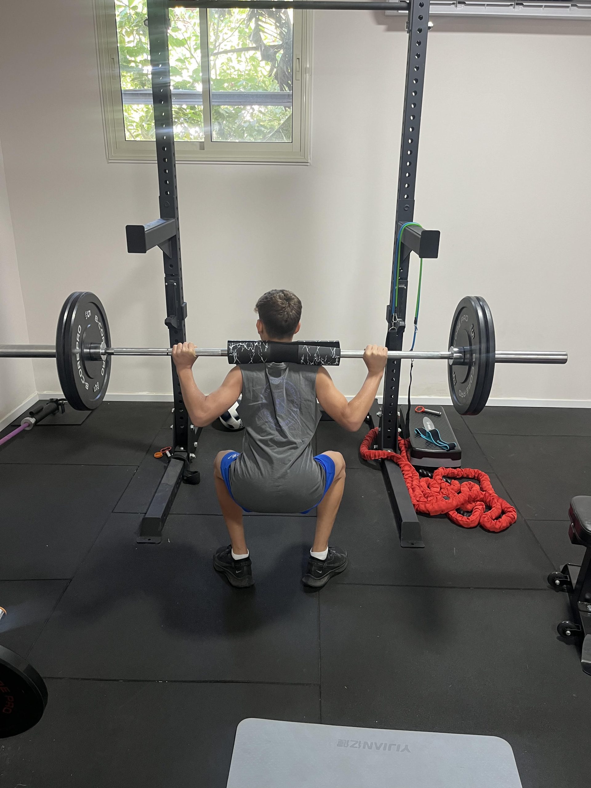 תוכנית שיקום