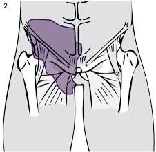 בקע ספורטאים 2